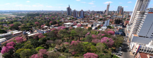 Imagen de Asunción